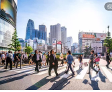 假期安全培训课程2026